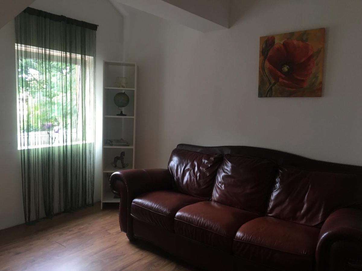 Villa Zetta Braşov Exteriör bild